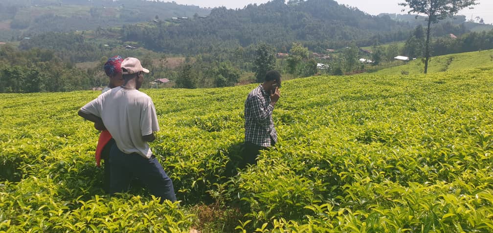 Encouraging creative solutions in climate action, sustainable agriculture, and eco-friendly businesses.